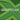 Mixcraft 10.5 Recording Studio Retail Edition
