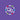 Avid Huddle 1-Year Subscription (Renewal) - Education Pricing