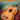First 50 Songs You Should Clawhammer Strum on Ukulele — Includes Clawhammer Lesson by Lil' Rev