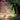 Wicked — Piano/Vocal Selections (Melody in the Piano Part)