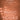 Zoo (from Zootopia 2)