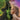 Wicked: For Good — Music from the Motion Picture