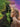 Wicked: For Good — Music from the Motion Picture