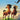 Spirit - Stallion of the Cimarron — Music from the Original Motion Picture