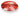 15 900 Cs Red Heavy Hi-hat Top