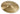 Signature Dark Energy Splash Mark I — 8-inches