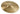 Signature Dark Energy Splash Mark I — 10-inches