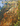 Fourth Symphony (Yellowstone Portraits)