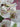 Spring — Overture for Wind Orchestra