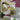 Spring — Overture for Wind Orchestra
