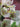 Spring — Overture for Wind Orchestra