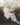 Point Blank — (Full Score)