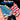 The Stars and Stripes Forever