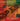 The Music of J.S. Bach - Works for Unaccompanied Clarinet