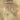 Lover Man (Oh, Where Can You Be?) — Alto Sax Feature