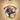 Fever (Key: G min) — Vocal Solo with Big Band