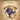 I Love Being Here with You (Key: Db) — Vocal Solo with Big Band