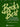 Bock's Best - Volume 5
