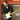 Lincoln Brewster - Today Is the Day — Book/CD/DVD Pack