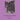 Invocation C-h-e-b For Organ -