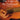 The Art of Acoustic Blues Guitar - The Logic of the Fretboard