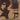 The Best of Bob Dylan - Volume 2 — P/V/G Folio