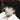 Bob Dylan Anthology — Guitar Tab