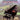Beethoven: F�r Elise — Concert Performer Series