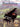 Beethoven: F�r Elise — Concert Performer Series