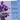 Concertino in D, Op. 12 (1st and 3rd position) — Easy Concertos and Concertinos Series for Violin and Piano