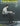 Pedal Steel Guitar