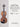 Sevcik Violin Studies - Opus 7, Part 2 — Studies Preparatory to the Shake & Development in Double-Stopping