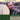 The Bodhr�n DVD