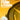 Rhythm Guides: Jazz, Funk & Fusion