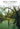 Sing, Choirs! — Anthems, Psalms and Hymns