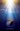 Invitation to a Miracle — A Cantata for Christmas