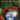 The Song Heard 'Round the World — A Cantata for Christmas