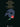 The Phantom of the Opera