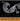 D'Addario Kaplan, Bass Orchestra D, Rope/Nickel, 3/4, Heavy