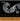 D'Addario Kaplan, Bass Orchestra C Extended E, Rope/Tungsten, 3/4, Heavy