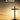 Once Upon a Tree — A Cantata