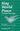Sing World Peace (Pachelbel Peace Rap)
