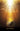 Shawnee Press — Invitation to a Miracle