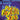 Look, Listen & Learn 1 - Play Your Favourite Songs — Oboe