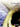 Veni Immanuel (Meditation on O Come, O Come, Immanuel) — Grade 2.5 - Score and Parts