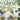Gloria! — Flute/Oboe - Grade 2-3