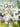 Gloria! — Trombone/Euphonium - Grade 2-3