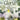 Gloria! — F Horn - Grade 2-3