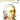 Mozart for Oboe