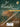 First Recital Series — Flute